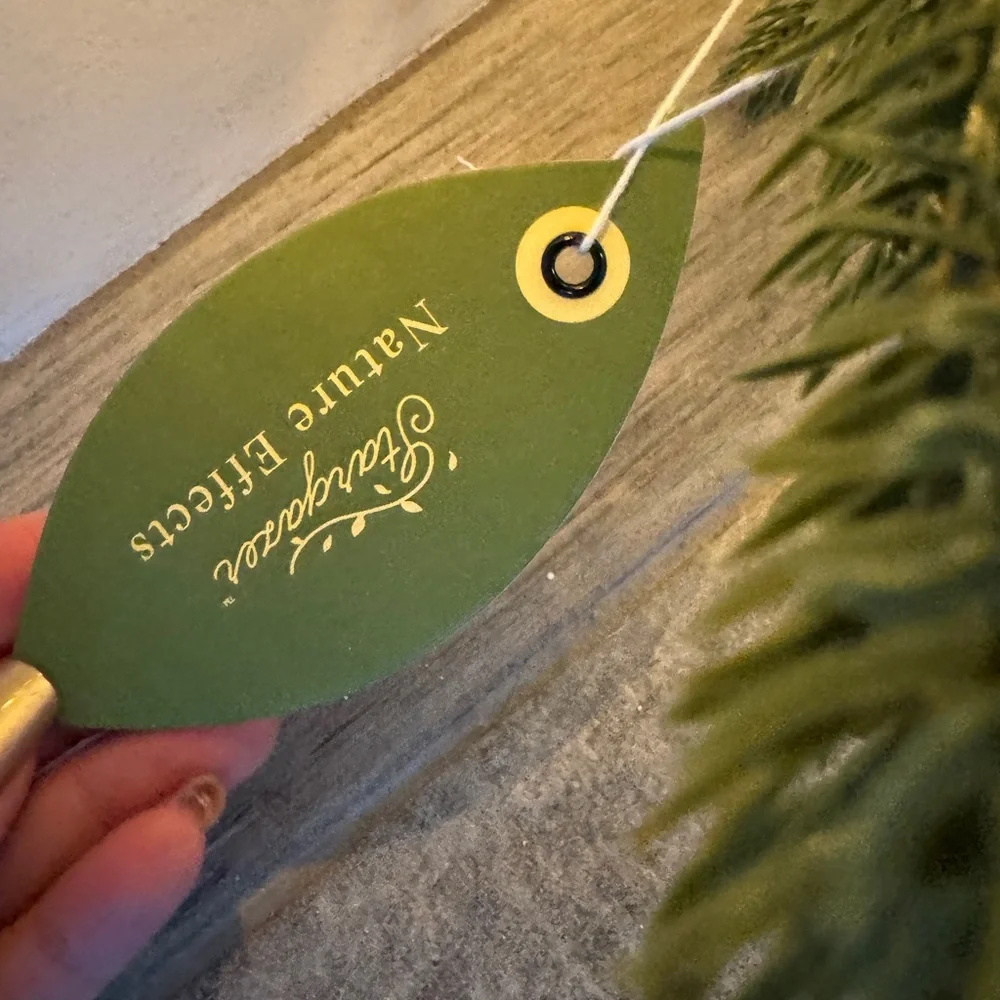 NEW Anthropologie x Terrain Stargazer Nature Effects Wreath 28” & Remote